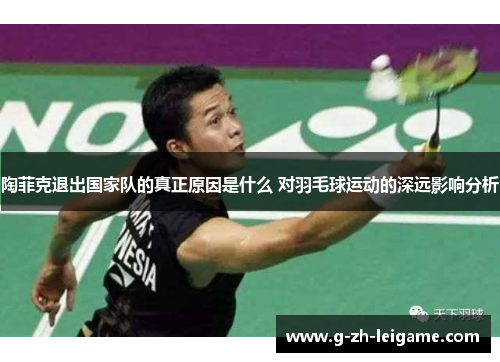 陶菲克退出国家队的真正原因是什么 对羽毛球运动的深远影响分析